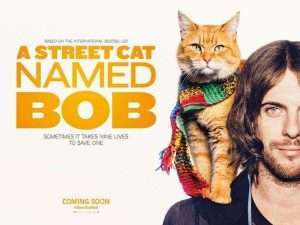 el gato que venía del cielo Un gato callejero llamado Bob, la pelicula