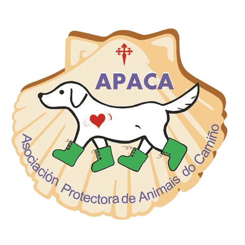 Apaca