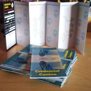 el gato que venía del cielo credencial canina y compostela