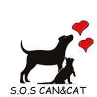 sos can y cat