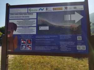 el gato que venía del cielo el gato que venía del cielo