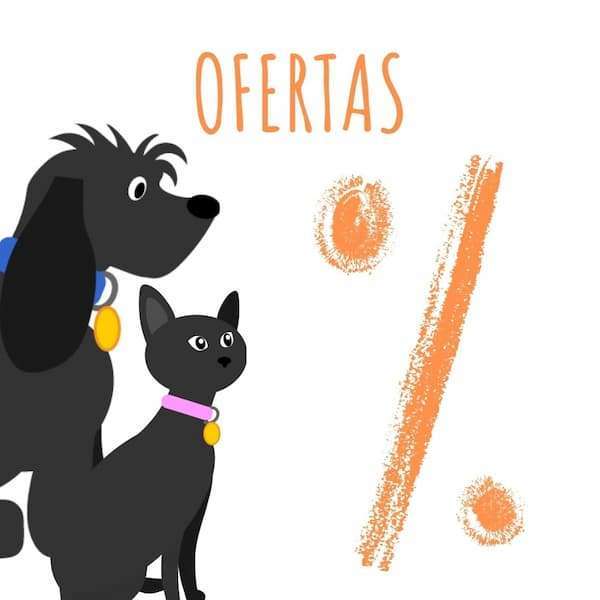 Iberiagifts para Mascotas Medianas a Grandes Chapa Medalla de identificación Personalizada para Collar Perro Gato Mascota grabada Placa identificación de en Forma de trébol